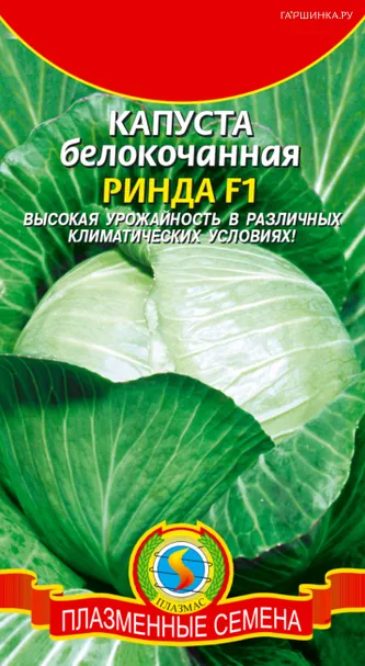 Капуста Ринда F1 белокочанная 10 шт, Плазменные семена
