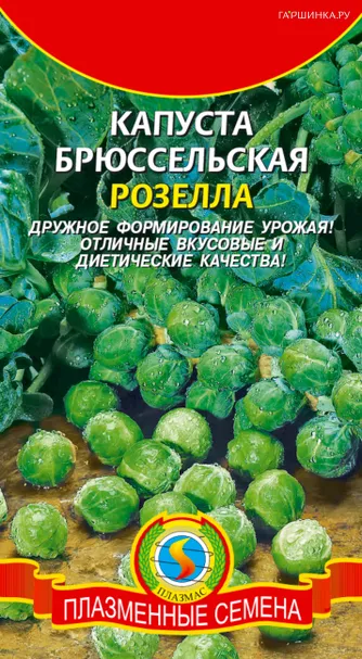 Брюссельская капуста Розелла 0,3 г, Плазменные семена