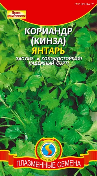 Кинза (Кориандр) Янтарь 2 г, Плазменные семена