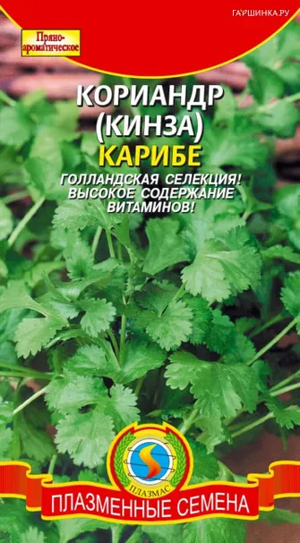 Кинза (Кориандр) Карибе F1  1 г, Плазменные семена