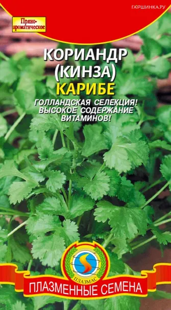 Кинза (Кориандр) Карибе F1  1 г, Плазменные семена