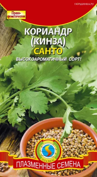 Кинза (Кориандр) Санто 2 г, Плазменные семена
