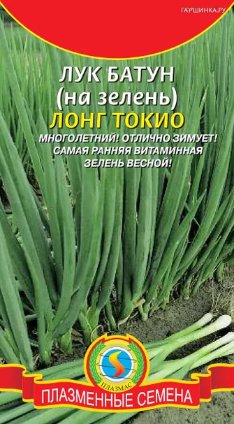 Лук Батун Лонг Токио 0,4 г, Плазменные семена