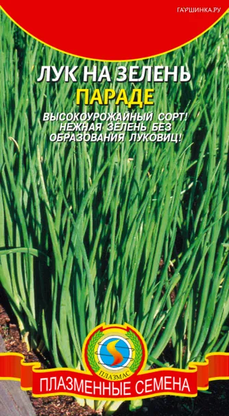 Лук Батун Параде 80 шт, Плазменные семена