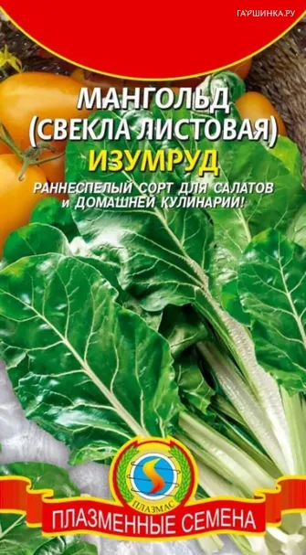 Мангольд (Свекла листовая) Изумруд 2 г, Плазменные семена