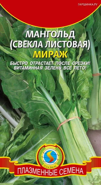 Мангольд (Свекла листовая) Мираж 2 г, Плазменные семена