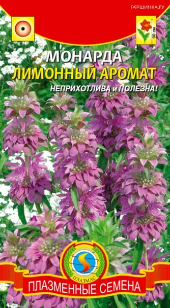 Монарда Лимонный аромат 0,05 г, Плазменные семена