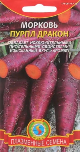 Морковь Пурпл Дракон 100 шт Плазменные семена