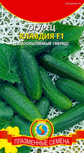 Огурец Клавдия F1 8 шт Плазменные семена