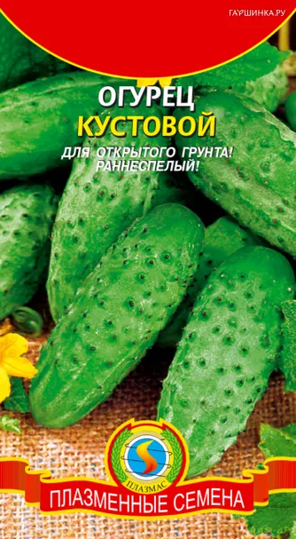 Огурец Кустовой 12 шт, Плазменные семена