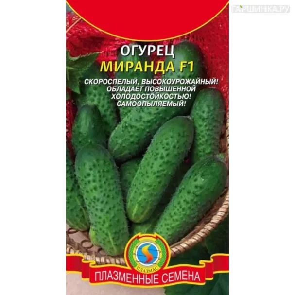 Огурец Миранда F1  10 шт, Плазменные семена