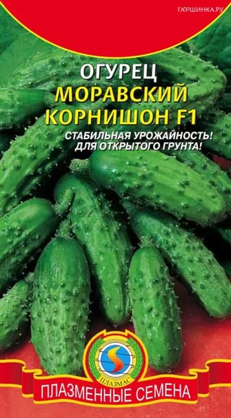 Огурец Моравский корнишон F1 12 шт, Плазменные семена