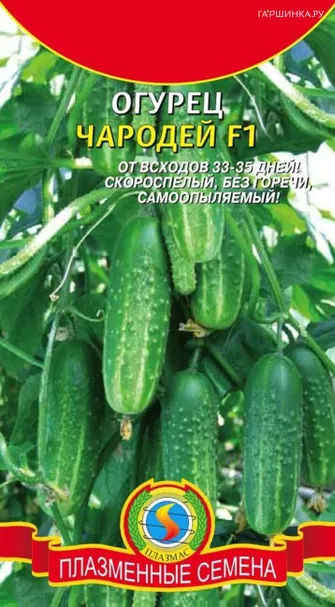 Огурец Чародей F1  10 шт Плазменные семена