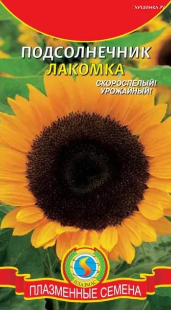 Подсолнечник Лакомка  5 г, Плазменные семена