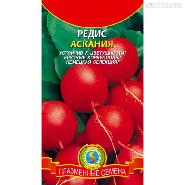Редис Аскания 2 г, Плазменные семена