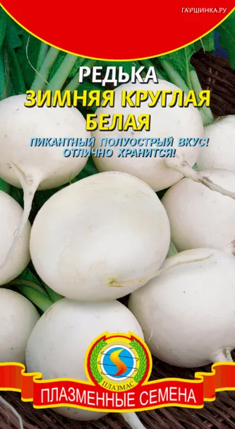 Редька Зимняя круглая белая 1 г, Плазменные семена