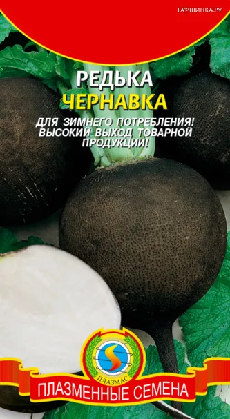 Редька Чернавка зимняя 1 г, Плазменные семена