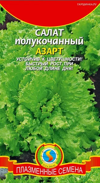 Салат Азарт полукочанный 0,7 г, Плазменные семена