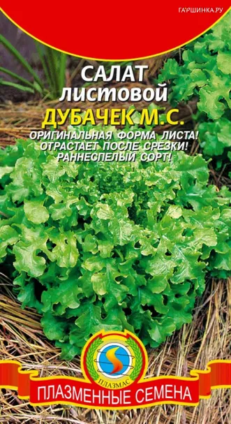 Салат Дубачек М.С. листовой 0,45 г, Плазменные семена