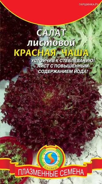 Салат Красная чаша листовой 0,5 г, Плазменные семена