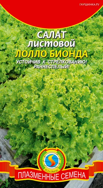 Салат Лолло Бионда листовой 0,5 г, Плазменные семена