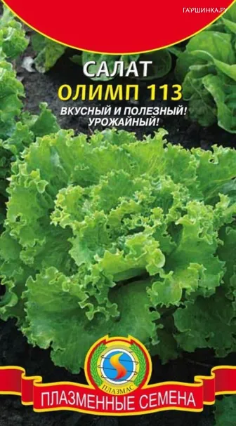 Салат Олимп 113 кочанный 0,5 г, Плазменные семена