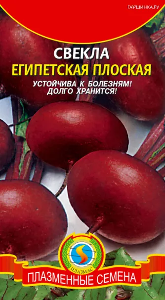 Свекла Египетская плоская 2,5 г, Плазменные семена