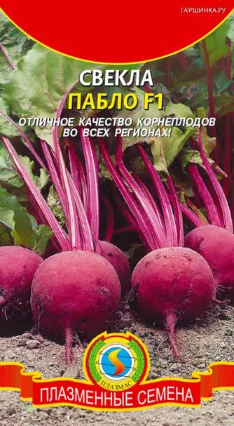 Свекла Пабло F1 75 шт, Плазменные семена
