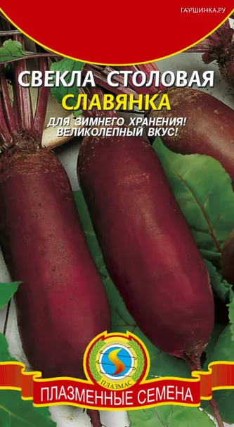 Свекла Славянка столовая 3 г, Плазменные семена