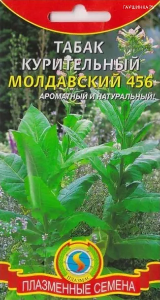 Табак Молдавский 456 курительный 0,01 г, Плазменные семена