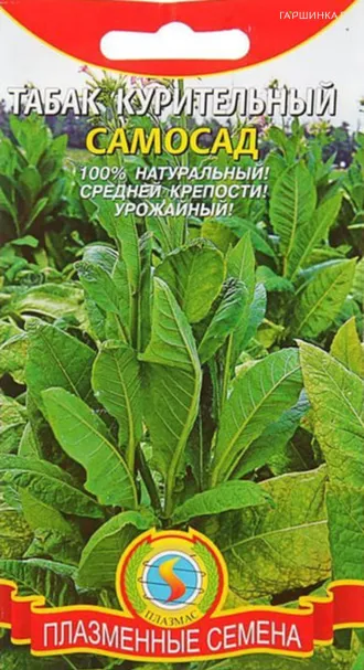 Табак Самосад курительный 0,01 г, Плазменные семена