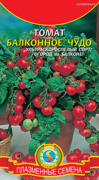 Томат Балконное чудо 20 шт, Плазменные семена
