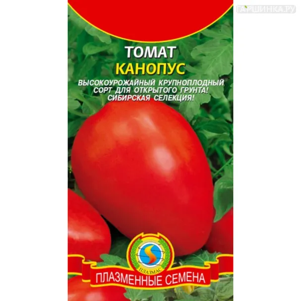 Томат Канопус 20 шт, Плазменные семена