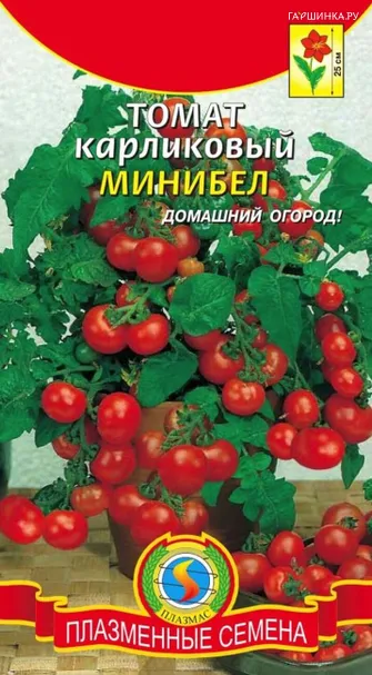 Томат Минибел карликовый 15 шт, Плазменные семена