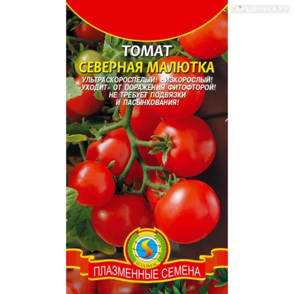 Томат Северная малютка 25 шт, Плазменные семена