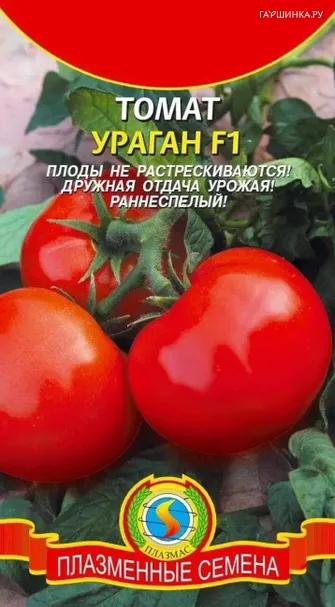 Томат Ураган F1  10 шт, Плазменные семена