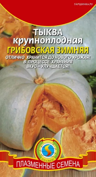 Тыква Грибовская зимняя 2 г, Плазменные семена
