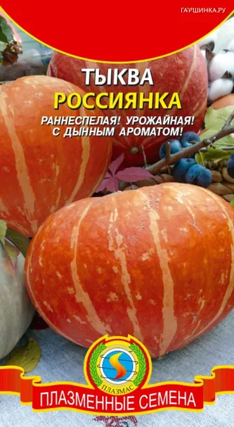 Тыква Россиянка 2 г, Плазменные семена