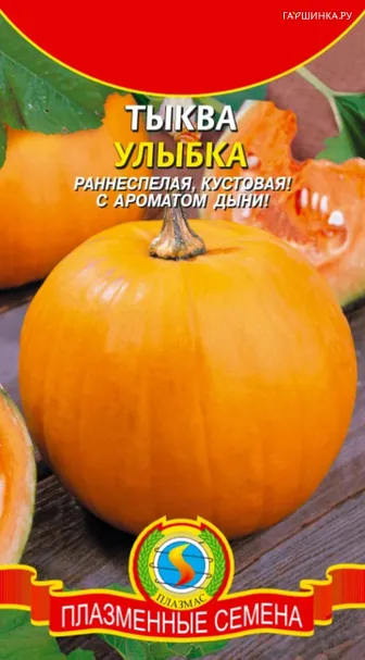 Тыква Улыбка 8 шт, Плазменные семена