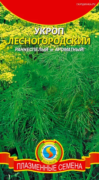 Укроп Лесногородский  2 гр Плазменные семена