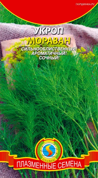 Укроп Мораван 1,5 г, Плазменные семена
