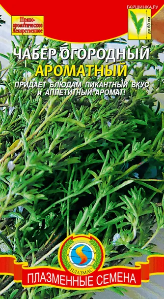 Чабер Ароматный огородный 0,5 г, Плазменные семена