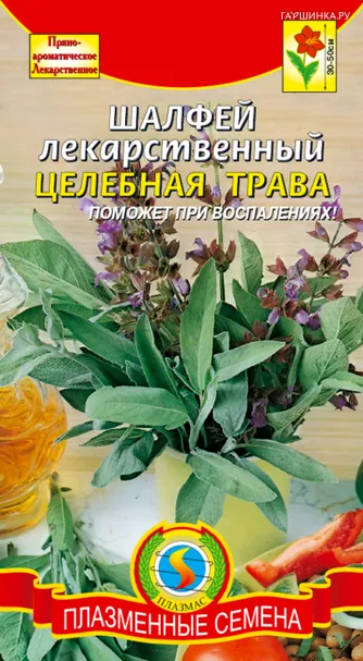 Шалфей Целебная трава лекарственный 0,2 г, Плазменные семена