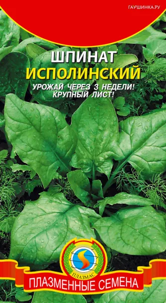 Шпинат Исполинский  2 гр Плазменные семена