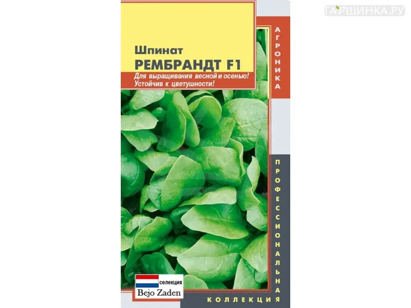 Шпинат Рембрандт F1 100 шт, Плазменные семена