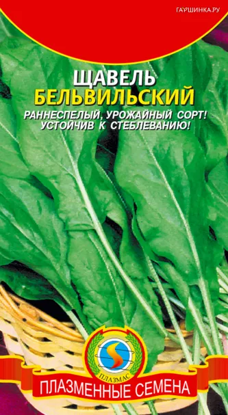 Щавель Бельвильский 0,5 г, Плазменные семена