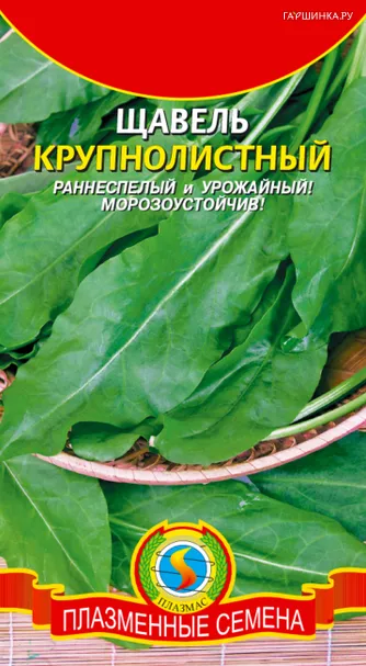 Щавель Крупнолистный  0,5 гр Плазменные семена