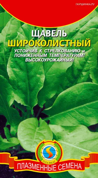 Щавель Широколистный 0,5 г, Плазменные семена