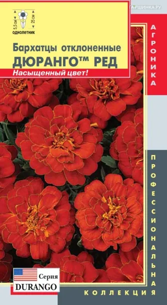 Бархатцы отклоненные (серия Дюранго) Дюранго Ред  10шт Плазменные семена
