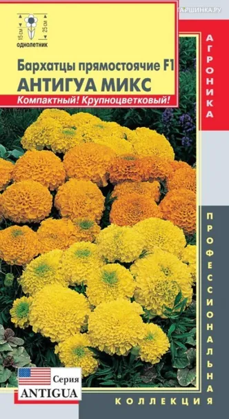 Бархатцы Антигуа Микс F1 прямостоячие 5шт, Плазменные семена